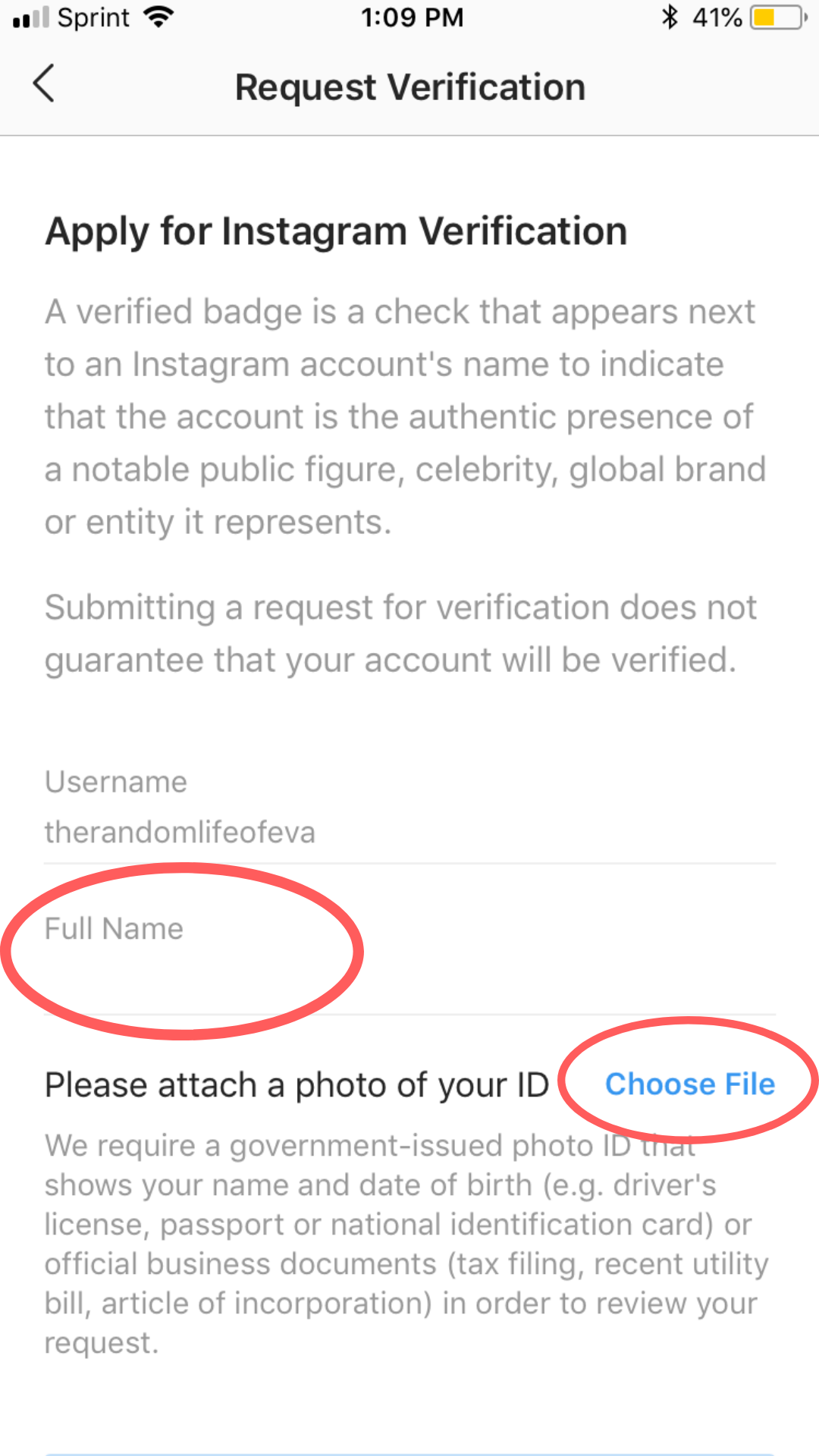 apply for Instagram verification